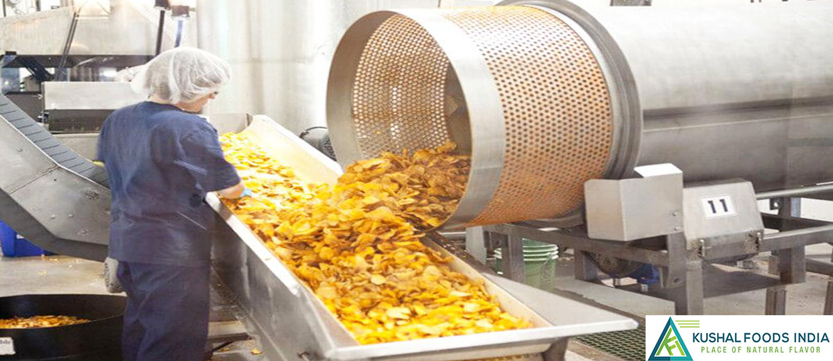 CHIPS MANUFACTURERS IN KERALA